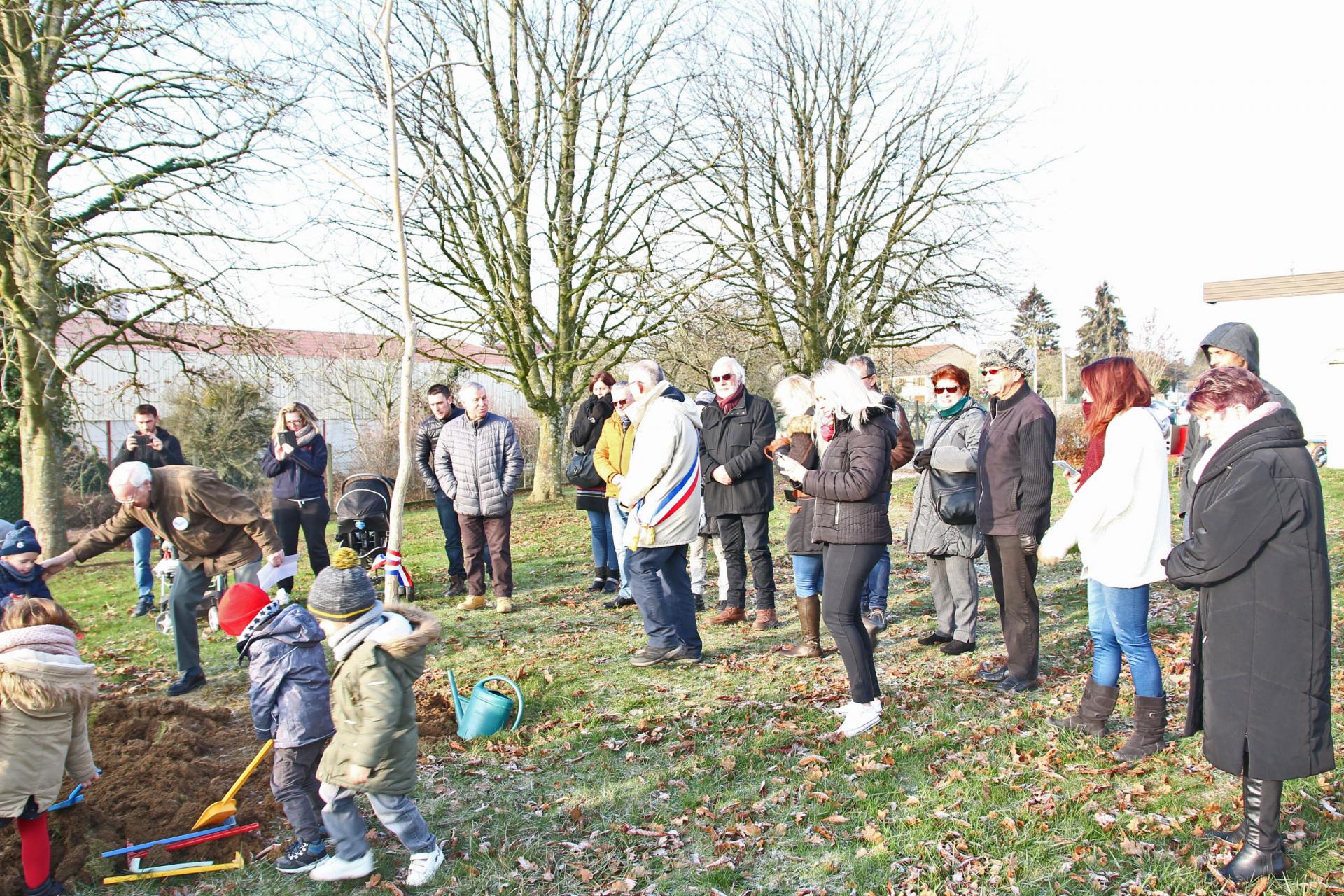 Avrainville arbre laicité (1)